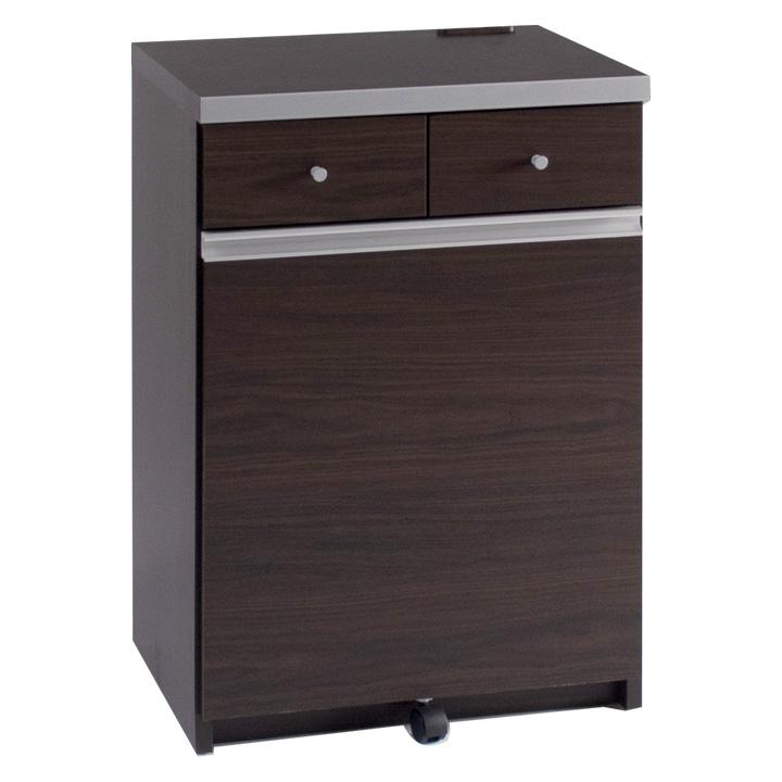 日本製 完成品 ペール2個付き キッチン収納 幅55cm キッチンカウンター