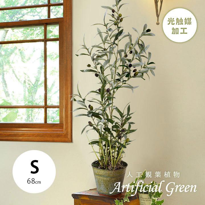 人工観葉植物 オリーブツリーグラスバケット S 約68cm 光触媒加工 空気清浄 人工植物 観葉植物 おしゃれ フェイク 造花 大型 グリーン オリーブの木 インテリア 家具通販のスーパーカグ 通販 Yahoo ショッピング