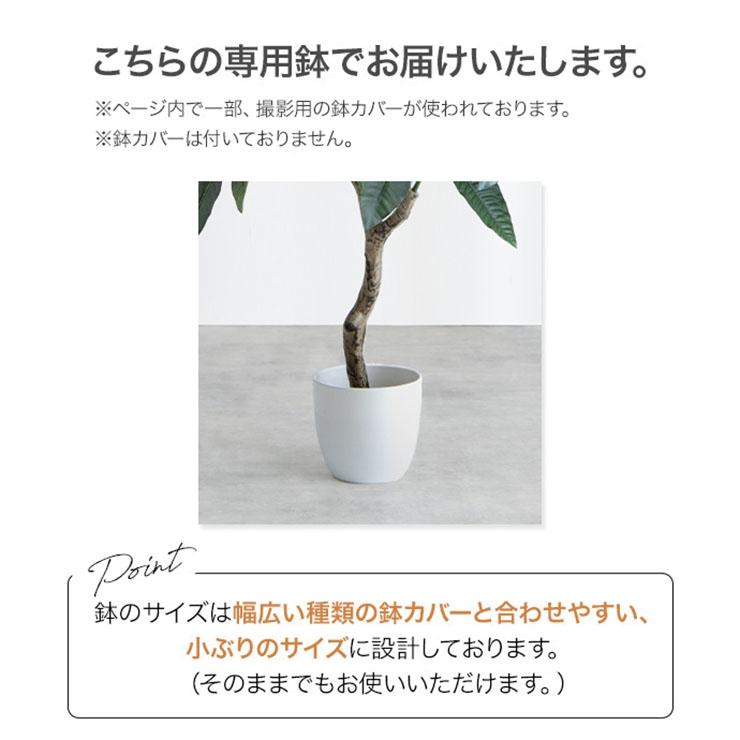 DT フェイクグリーン 観葉植物 高さ150cm 大型 光触媒 人工観葉植物