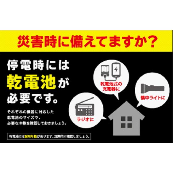 TOSHIBA（東芝） 単2電池4本パック×2 アルカリ乾電池 単2形【1パック(4
