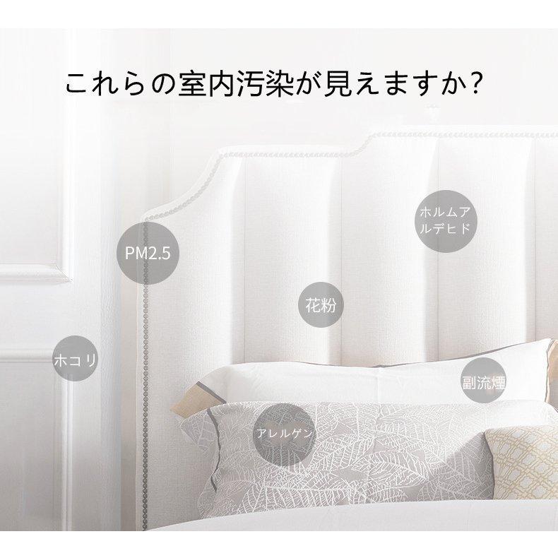 空気清浄機 車載 小型 家庭用 卓上 ミニ 空気清浄器 除菌 殺菌