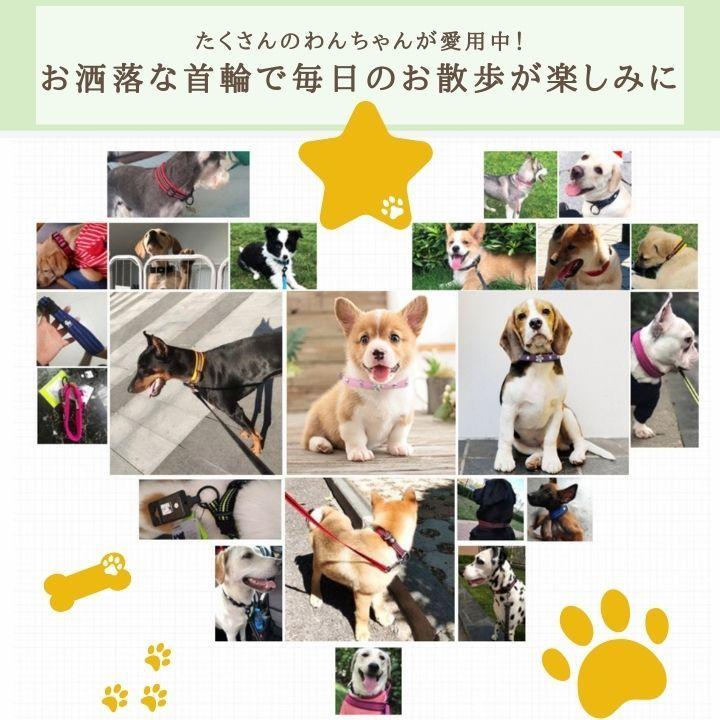 クリスタル付き首輪 XSサイズ 犬用首輪 ストーン付き首輪 小型犬用