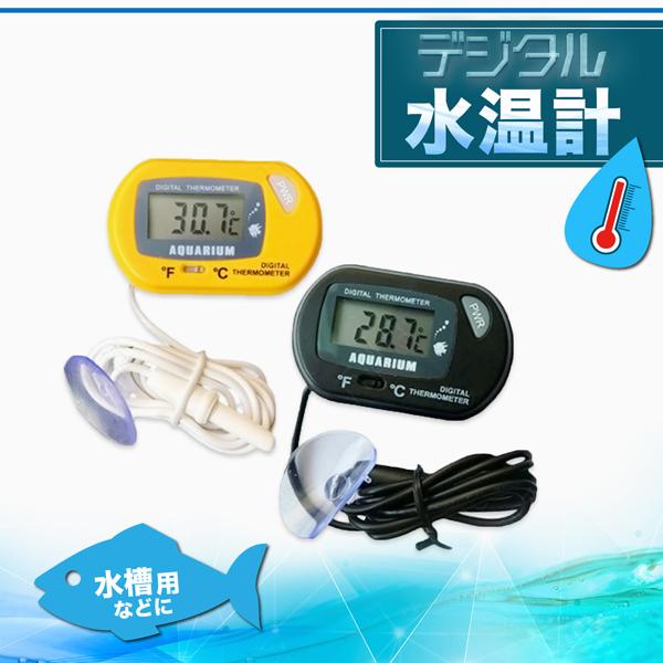 デジタル水温計 アクアリウム テラリウム 熱帯魚 水槽 見やすいデジタル 生き物 飼育 水温計 水温管理 LCD温度計｜supernatto
