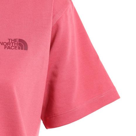 ノースフェイス The 21春夏新色 North Face ショートスリーブヌプシティー スレートローズ Ntw Lr レディース ワンポイント トップス カジュアル 半袖tシャツ