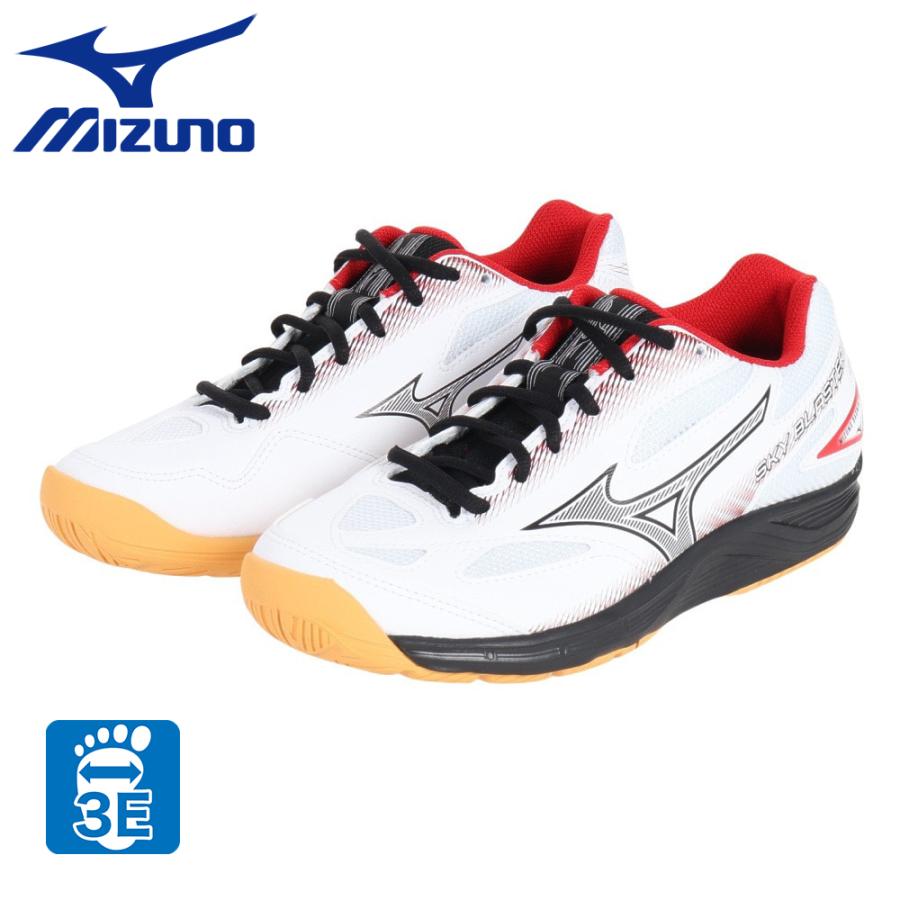 MIZUNO（ミズノ） （メンズ、レディース）バドミントンシューズ スカイ