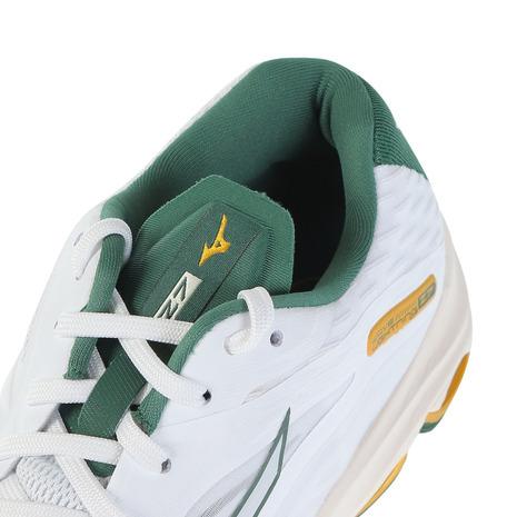 MIZUNO ミズノ(MIZUNO)(メンズ、レディース)バレーボール MIZUNO ミズノ(MIZUNO)(メンズ、レディース)バレーボール