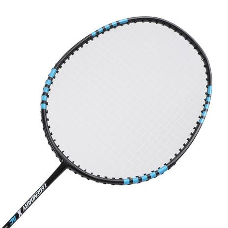 GOSEN ゴーセン（GOSEN）（メンズ、レディース）バドミントン