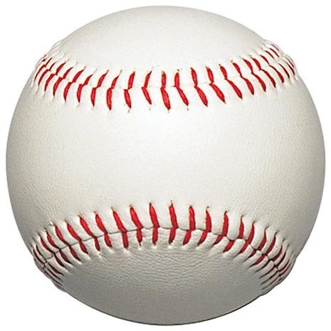 サイン入り野球ボール10個セット ゼット（ZETT） （メンズ、レディース、キッズ）野球 ボール サイン