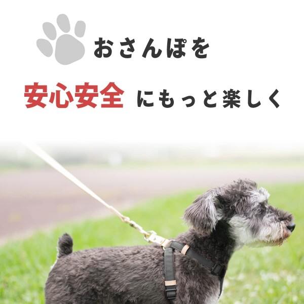 (ラフィカロ) リード 犬 大型犬 中型犬 小型犬 イタリアンレザーを贅沢に使用 厚み4mm 上品な犬｜supiyura｜04