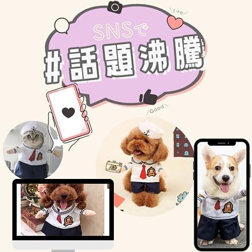 ペットパレット 犬 猫 コスプレ ハロウィン ペット 服 変装 仮装 小型犬 中型犬 大型犬 2足歩行 (｜supiyura｜02