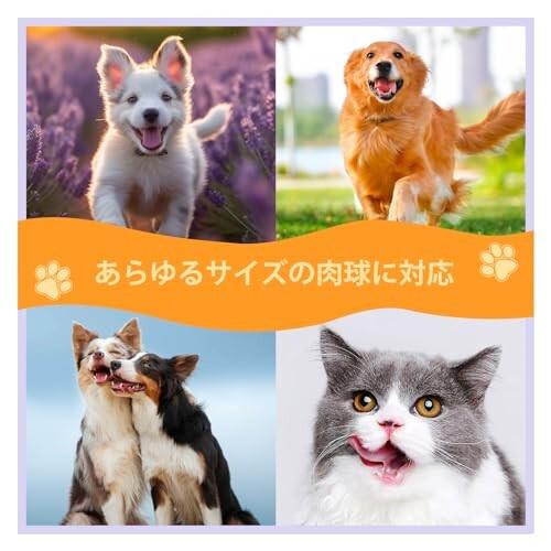 犬 足洗い用犬 シャンプー 泡、 ペット猫 シャンプー、ペットグッズ 犬猫、犬用シャンプー刺激｜supiyura｜06