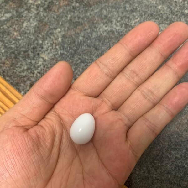 LYHMHAMY 偽卵 プラスチック卵 8個セッ 鳥おもちゃ インコ LYHMHAMY 偽卵 プラスチック卵 8個セッ 鳥おもちゃ インコ