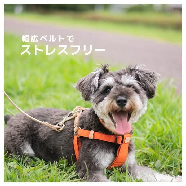 (ラフィカロ) ハーネス 小型犬 中型犬 犬ハーネス おしゃれ 犬用 犬用胴輪 ドッグ軽い 簡単装着｜supiyura｜02