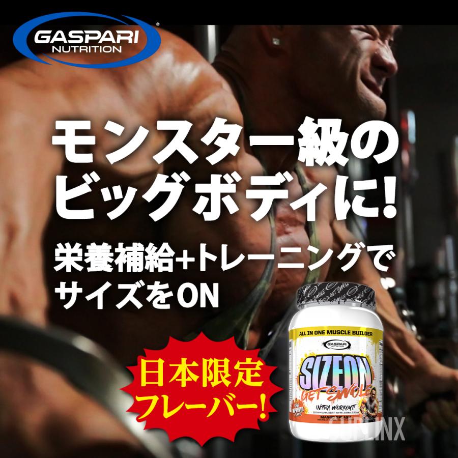 GASPARI NUTRITION 【お得セット】ギャスパリ ノーリミットベーシック