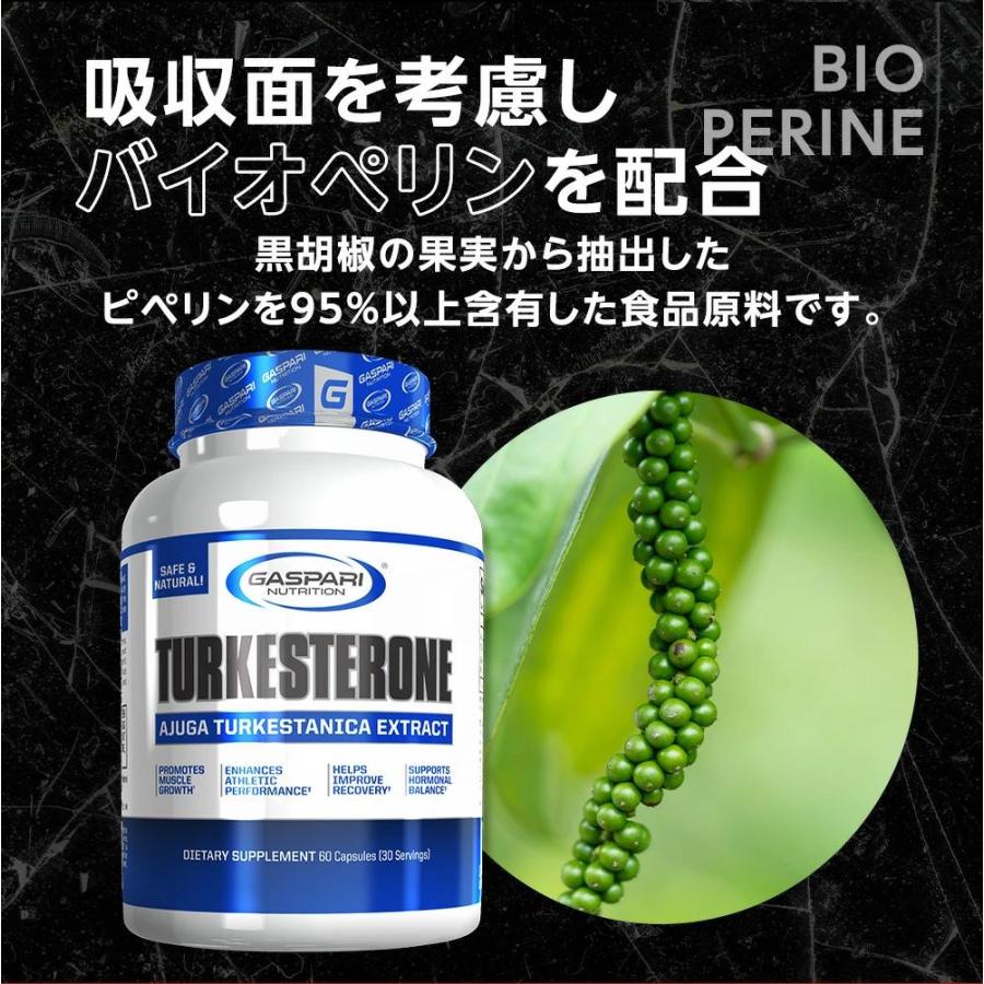 GASPARI NUTRITION ターケステロン / トルケステロン アジュガツルケス