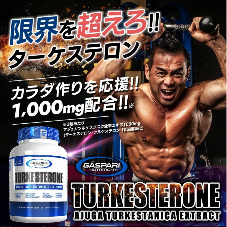 GASPARI NUTRITION ターケステロン / トルケステロン アジュガツルケス