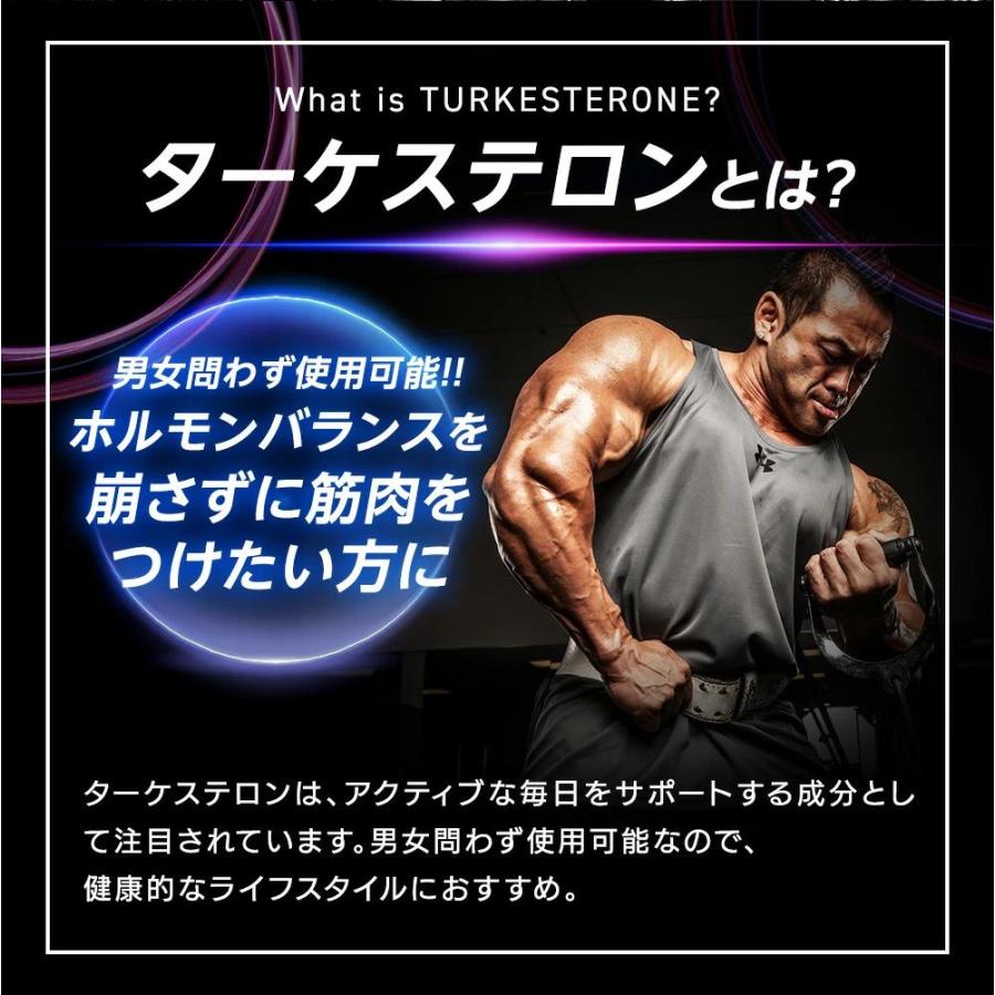 GASPARI NUTRITION ターケステロン / トルケステロン アジュガツルケス