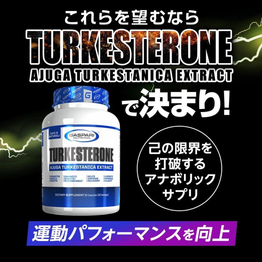 GASPARI NUTRITION ターケステロン / トルケステロン アジュガツルケス