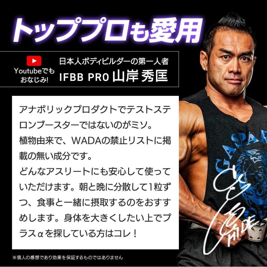 GASPARI NUTRITION ターケステロン / トルケステロン アジュガツルケス