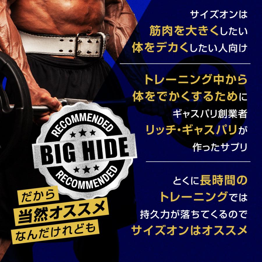 サイズオン マキシマムパフォーマンス Hide's マンゴースプラッシュ 1632g  | 山岸秀匡プロシグネイチャーモデル 日本限定 Gaspari Nutrition | GASPARI NUTRITION | 13