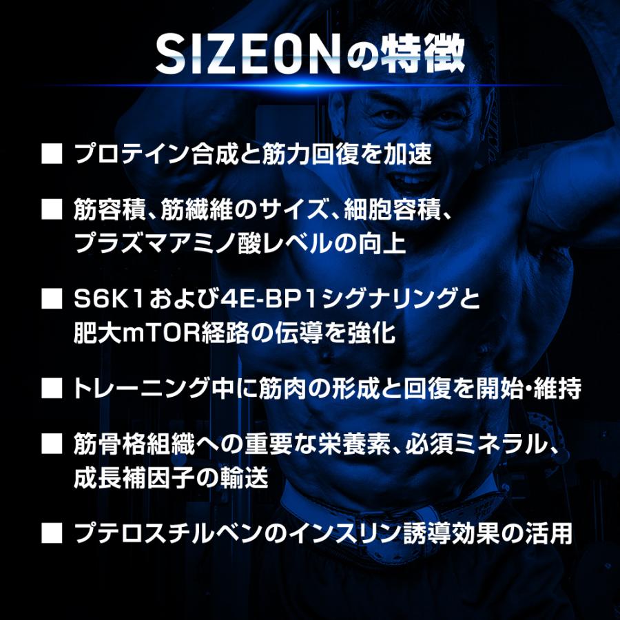サイズオン マキシマムパフォーマンス Hide's マンゴースプラッシュ 1632g  | 山岸秀匡プロシグネイチャーモデル 日本限定 Gaspari Nutrition | GASPARI NUTRITION | 14