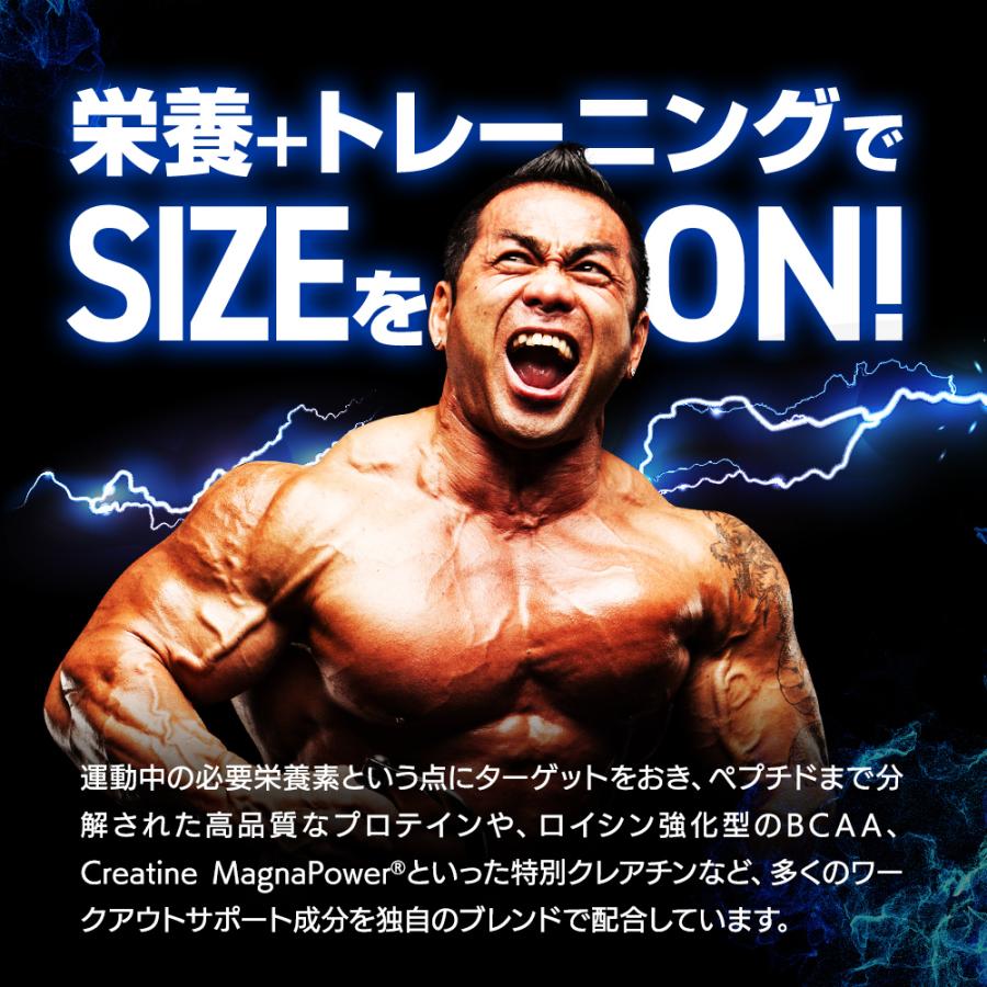 サイズオン マキシマムパフォーマンス Hide's マンゴースプラッシュ 1632g  | 山岸秀匡プロシグネイチャーモデル 日本限定 Gaspari Nutrition | GASPARI NUTRITION | 04