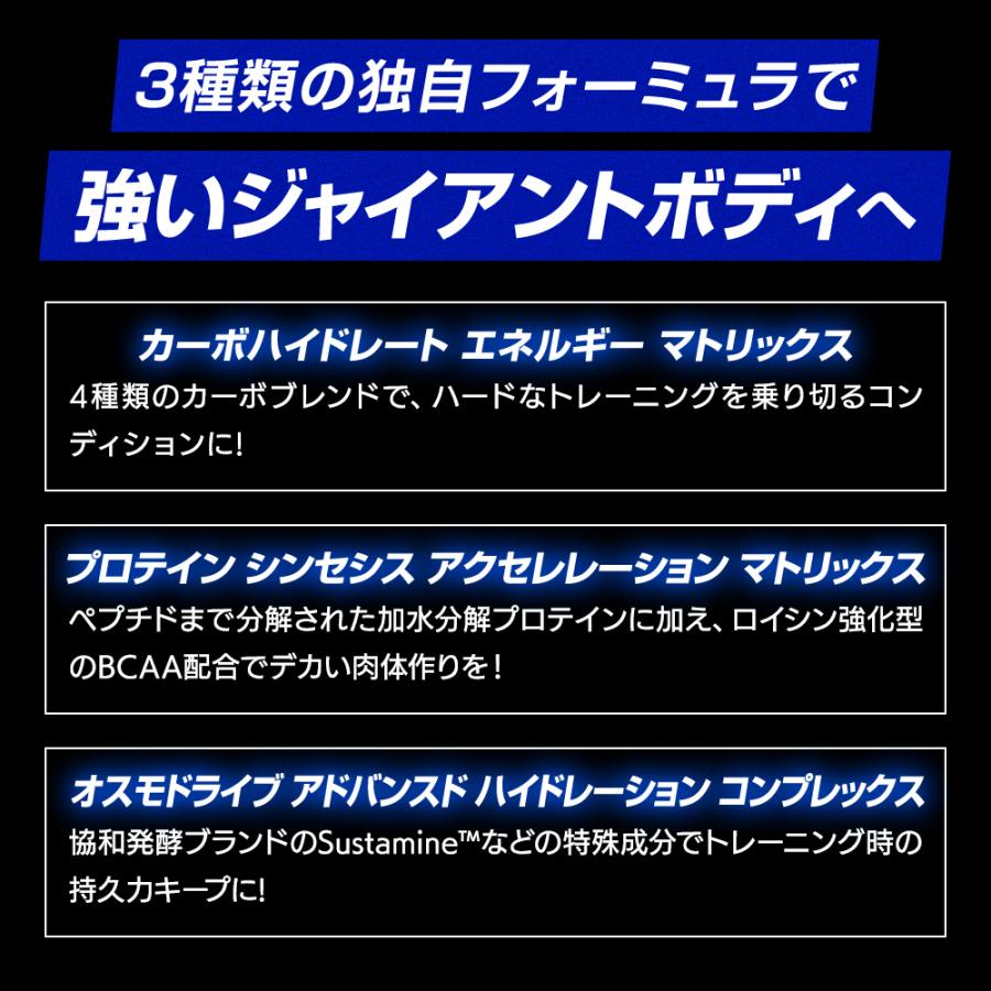 サイズオン マキシマムパフォーマンス Hide's マンゴースプラッシュ 1632g  | 山岸秀匡プロシグネイチャーモデル 日本限定 Gaspari Nutrition | GASPARI NUTRITION | 08