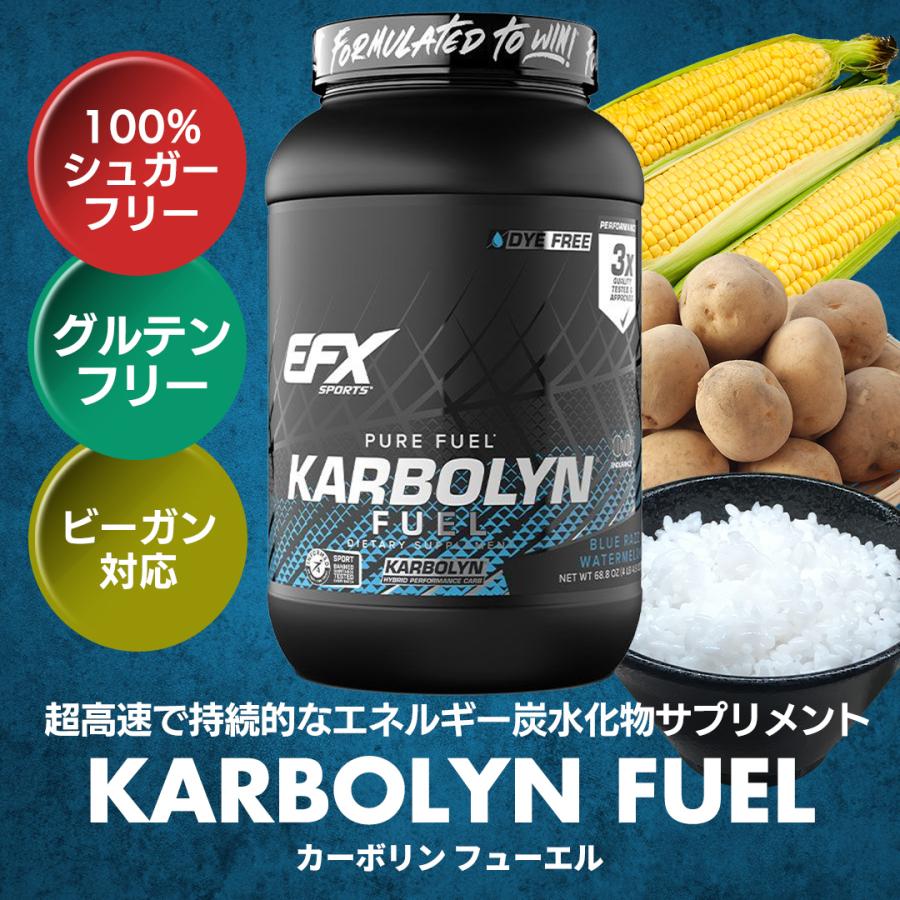 カーボリンフューエル グリーンアップル 1000g  All American EFX オールアメリカンEFX |  | 01