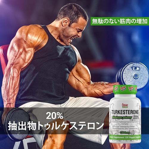 ツルケステロン （ターケステロン / トルケステロン）20％ 1000mg 120