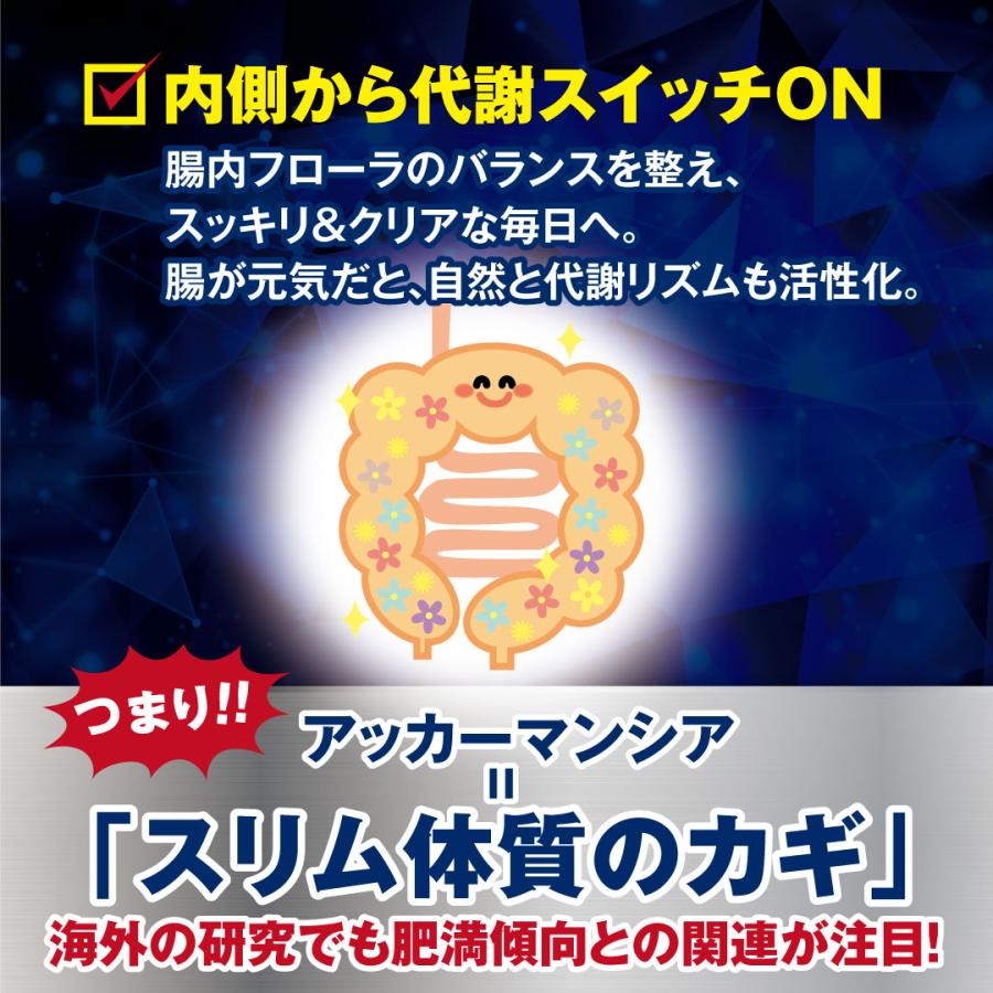 腸内環境 サプリ アッカーマンシア 痩せ菌 若見え菌 （菌数：１億個）腸活 ダイエットサポート 90粒  CodeAge プロバイオティクス 善玉菌 |  | 03