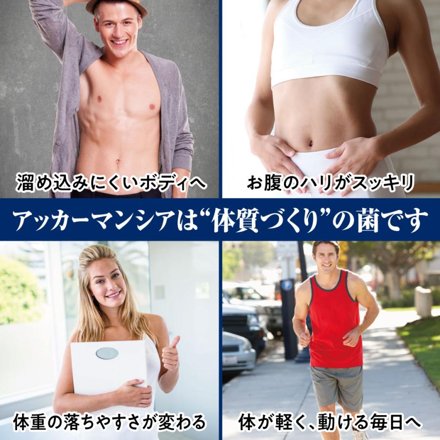 腸内環境 サプリ アッカーマンシア 痩せ菌 若見え菌 （菌数：1億個