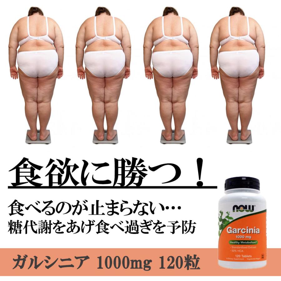 【3個セット】ガルシニア 1000mg 120粒ｌ ヒドロキシクエン酸 ビーガン  ベジタリアンNOW |  | 01