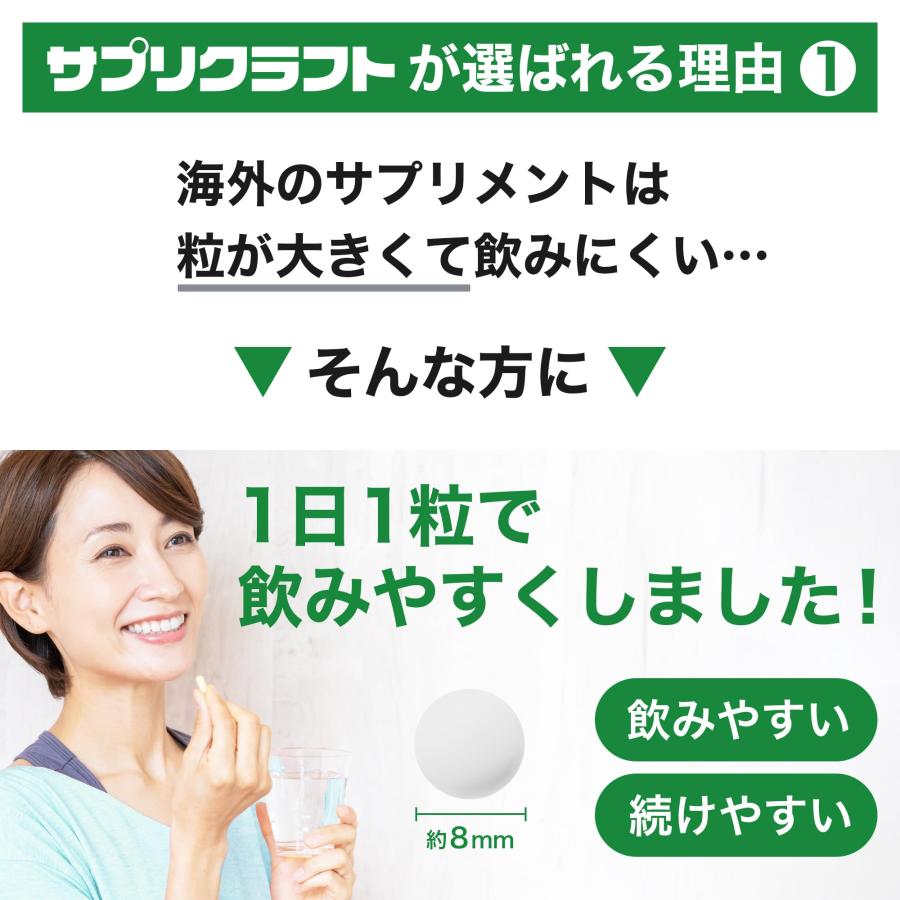 ナイアシンアミド【タブレットタイプ】 100mg 120粒(2〜4ヶ月分