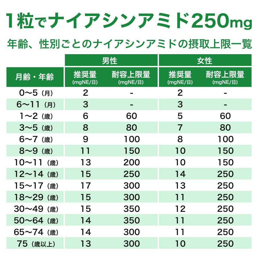 ナイアシンアミド （ビタミンB3） 250mg 120カプセル : サプリクラフト 