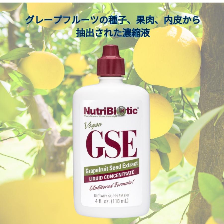 NutriBiotic（ニュートラバイオティック）GSEリキッド 4オンス（118ml 