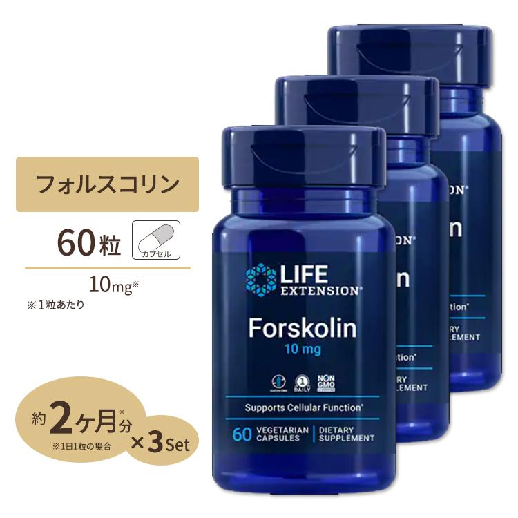 売れ筋アイテムラン フォルスコリン 10mg 60カプセル 約2ヶ月分 サプリ 3個セット