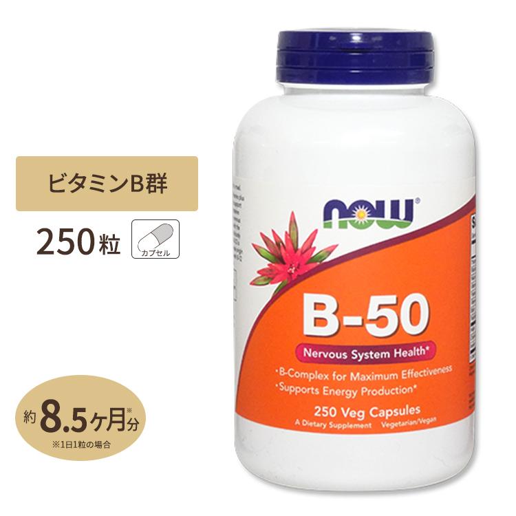 ビタミンB-50 250粒 約8ヶ月分 お得サイズ B群11種 葉酸 ナイアシン ビオチン パントテン酸 PABA コリン イノシトール ベジカプセル  充実の品
