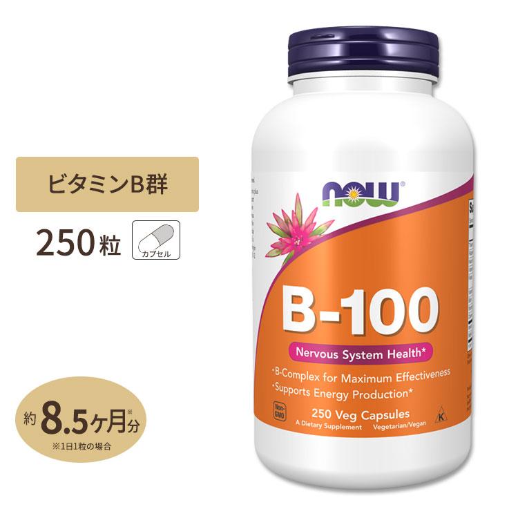 ビタミンB-100 250粒 約8ヶ月分 NOW Foods (ナウフーズ)[お得サイズ]（Yahoo!・米国サプリのNatural Harmony）