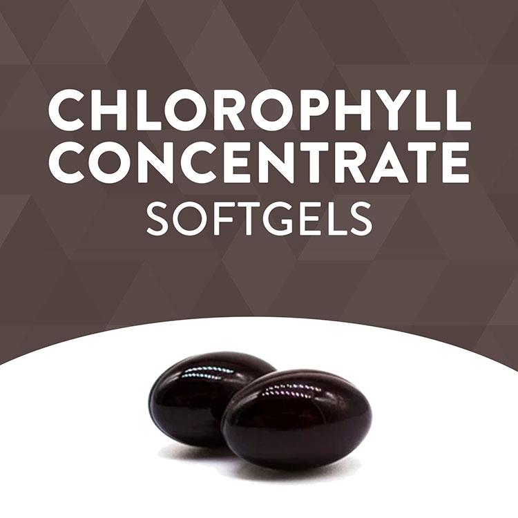 [3個セット] ネイチャーズウェイ クロロフレッシュ 50mg ソフトジェル 90粒 Nature's Way Chlorofresh グリーンフード クロロフィル エチケット｜supplefactory｜05