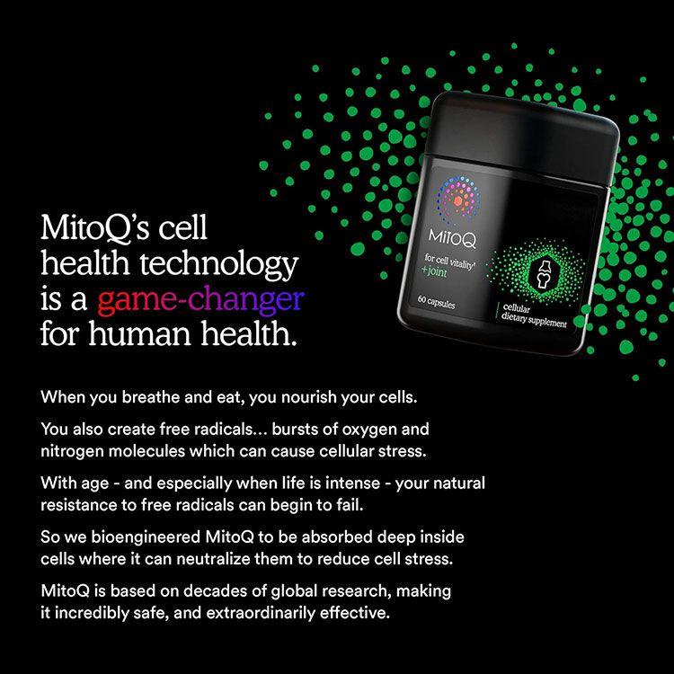 ミトQ +ジョイント 5mg 60粒 カプセル MitoQ +joint ミトキノール サプリメント ミトコンドリア ユビキノール 緑イ貝エキス GLME オメガ3脂肪｜supplefactory｜05