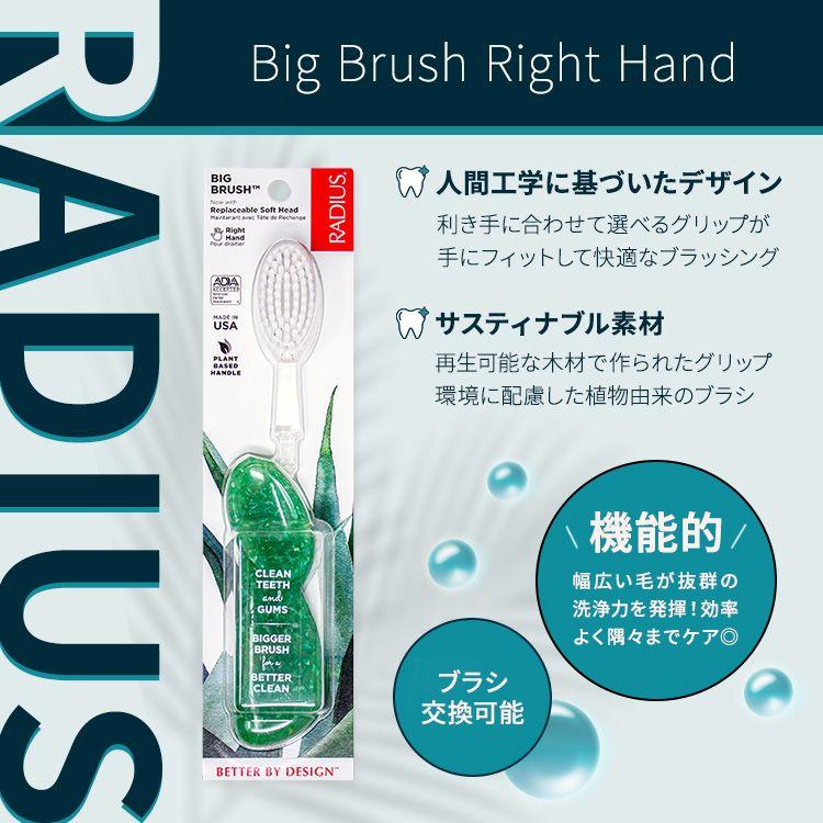 ラディウス ビッグ ブラシ 右手用 ソーダポップエコグラインド Radius
