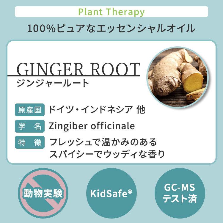 プラントセラピー 100ピュア エッセンシャルオイル ジンジャー 10ml (1 / 3fl oz) Plant Therapy