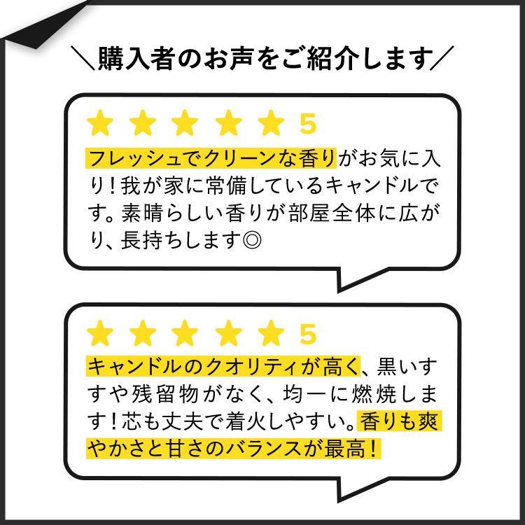 Bath＆Body Works バス&ボディワークス ユーカリ+スペアミント 3本芯