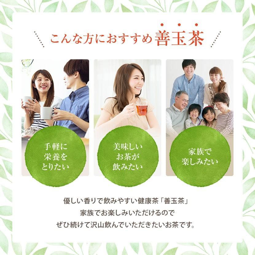 再入荷　八宝茶　15包　美容茶　健康茶 再入荷 八宝茶 15包 美容茶 健康茶 インスタント茶 セレクトパック 6