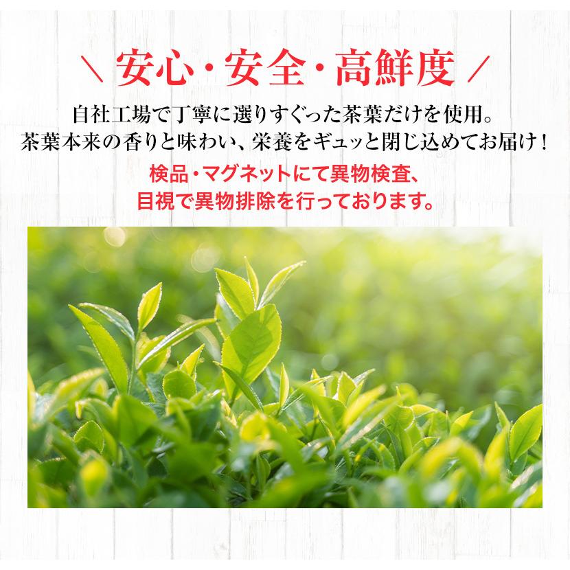 プーアル茶 パック（プアール/プーアール/黒茶/塾茶）200g(2g×100包) 1400円 ティーバッグ｜suppleherb｜04