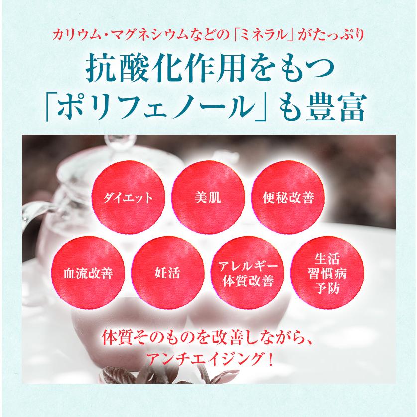 【5個まとめ買いセット】オーガニックルイボスティ2ｇ130包 5個セット