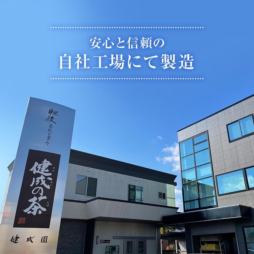 グリーンルイボスティー 55包 1000円ポッキリ　ティーバッグ　水出し 八重撫子 ルイボス パック | 八重撫子 | 09