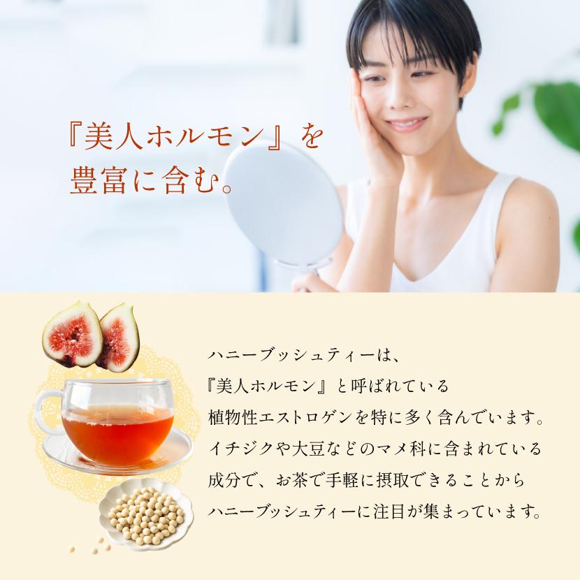 ハニーブッシュティー オーガニック 2g×80包 ノンカフェインハーブ