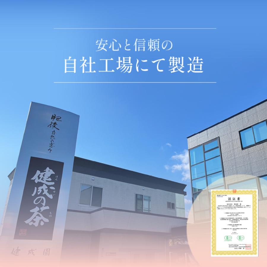 ルイボスティー オーガニック 130包 【1包9.9円】八重撫子 ティーバッグ ルイボス茶 水出し可 送料無料 お茶 有機栽培 ティーパック | 八重撫子 | 14
