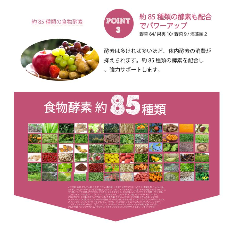 朝専用スムージープラス4種の乳酸菌1兆3500億個 85種類の酵素 (宇治抹茶、発酵紅茶、ココア）難消化性デキストリン 爆買 |  | 10